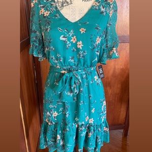 Express Chiffon Floral Dress
